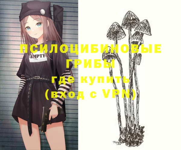 дмт Алексин