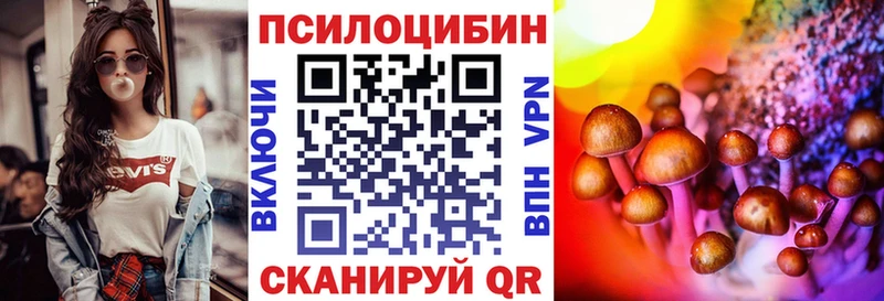 купить наркотик  Апатиты  Псилоцибиновые грибы Psilocybe 
