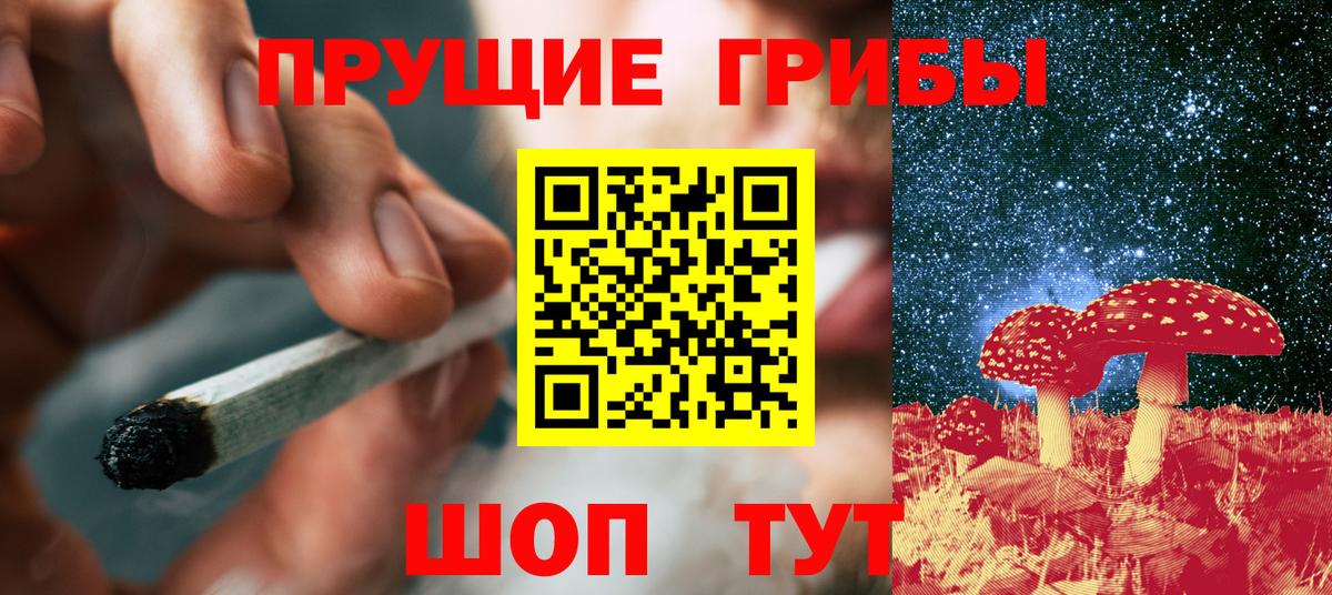Псилоцибиновые грибы Cubensis  Псилоцибиновые грибы GOLDEN TEACHER  Вход с VPN  Апатиты 