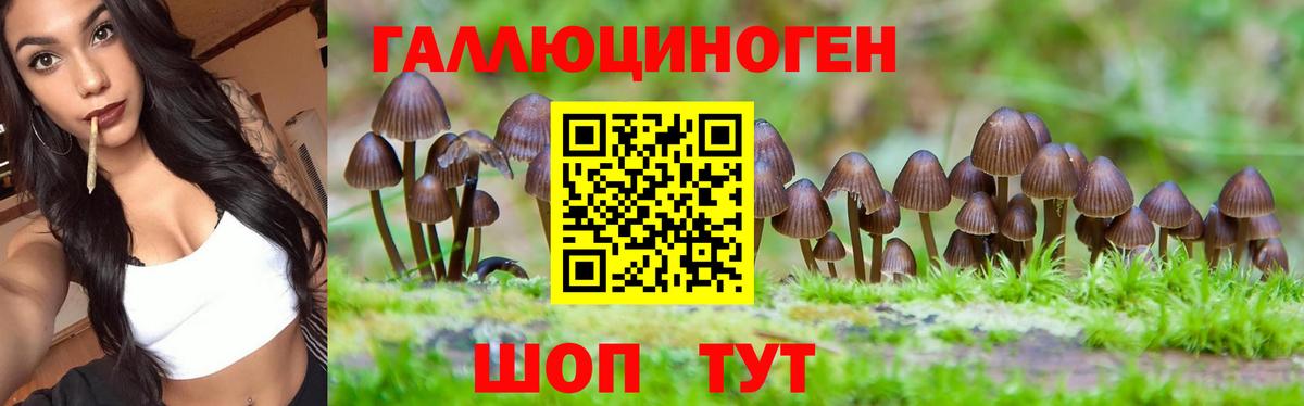 Галлюциногенные грибы мухоморы Апатиты